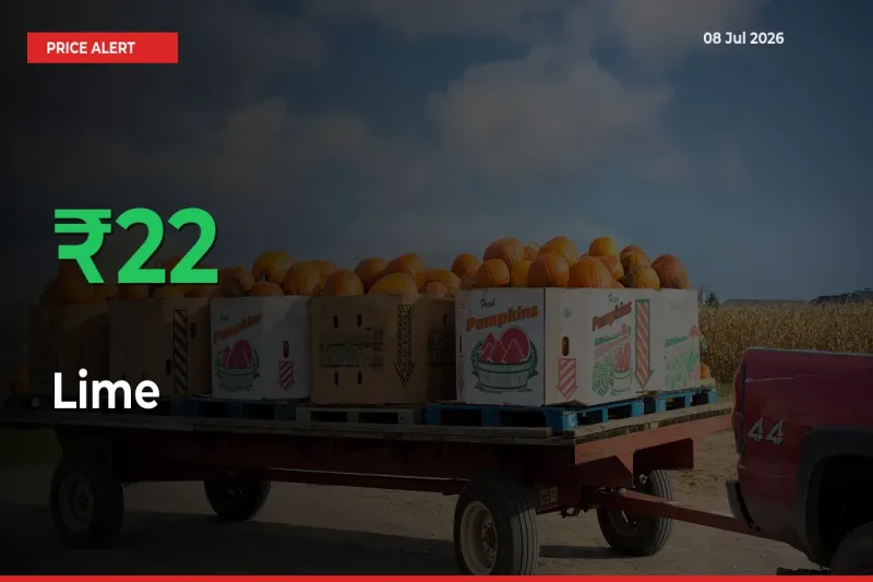 Lime Prices Rise 21.59% in a Day at Major Mandis