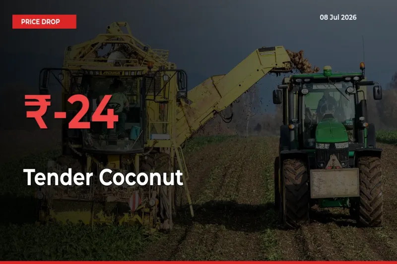 Why Tender Coconut Prices Fell 24.41% in a Day at Mandis