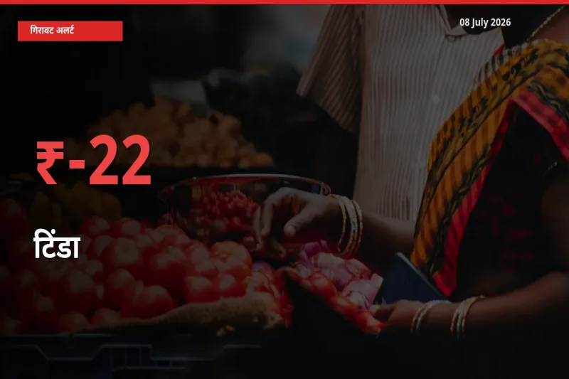 आज का मंडी भाव: टिंडा के दाम मंडी में 22.42% नीचे