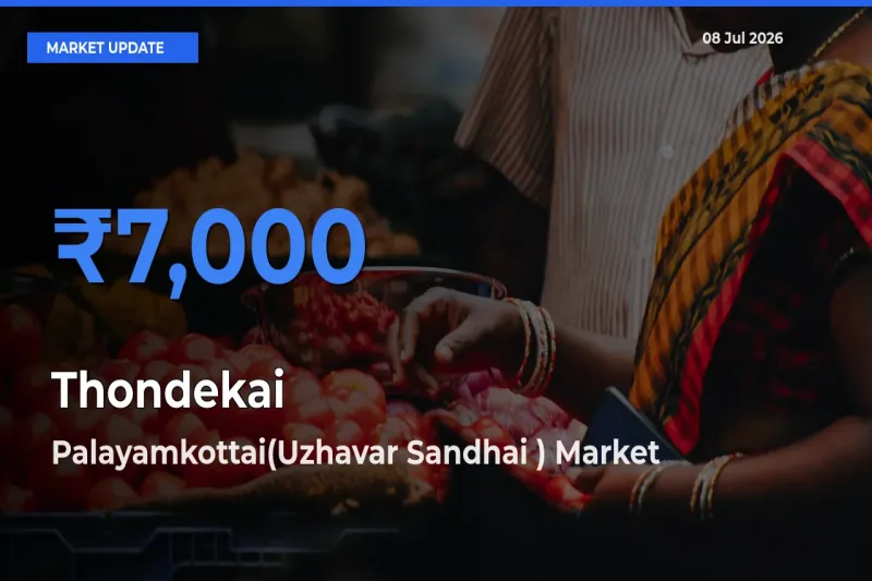 Palayamkottai(Uzhavar Sandhai ) Tops Thondekai Rates – July 08 Market Update