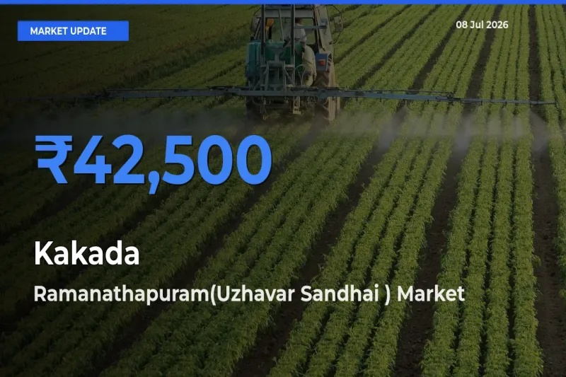 Ramanathapuram(Uzhavar Sandhai ) Offers ₹42,500 – Highest Kakada Rate Today