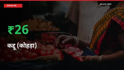 किसानों के लिए खुशखबरी! स्थानीय मंडी में कद्दू (कोहड़ा) 26.15% उछला
