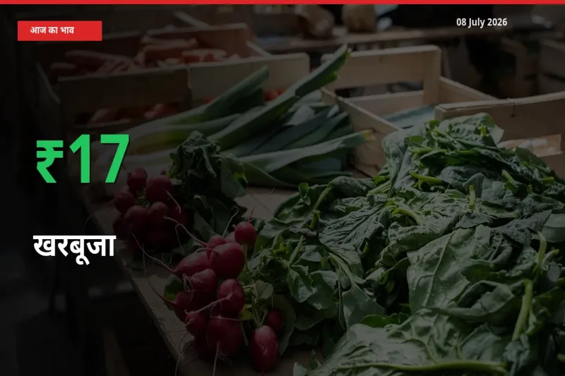 खरबूजा 17.4% उछला, मंडी