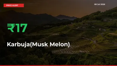 17.4% Spike in Karbuja(Musk Melon) Prices – Mandi Sees Sudden Rally