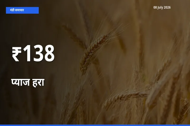 प्याज हरा के दाम कई मंडियों में एक जैसे बदले, बाज़ार में बड़ा ट्रेंड साफ