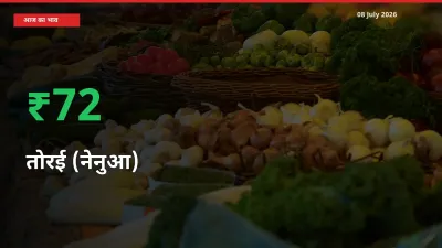 स्थानीय मंडी में तोरई (नेनुआ) के दाम अचानक 72.4% उछले, किसान सतर्क