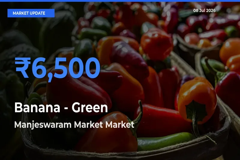 Banana - Green Mandi Rate Today: Manjeswaram Market Tops the List