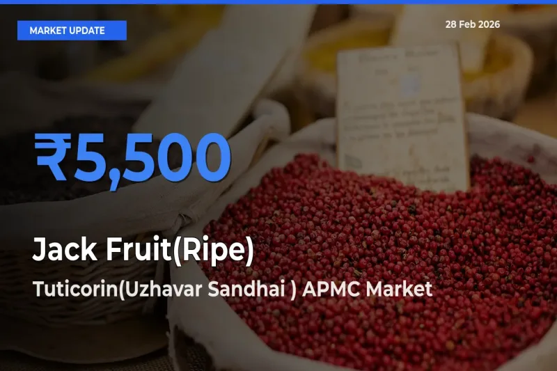 Tuticorin(Uzhavar Sandhai ) APMC Emerges as Top Mandi for Jack Fruit(Ripe) Prices Today