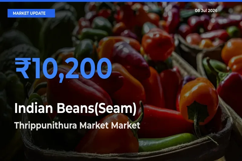 Thrippunithura Market Leads as Top Mandi for Indian Beans(Seam) Prices