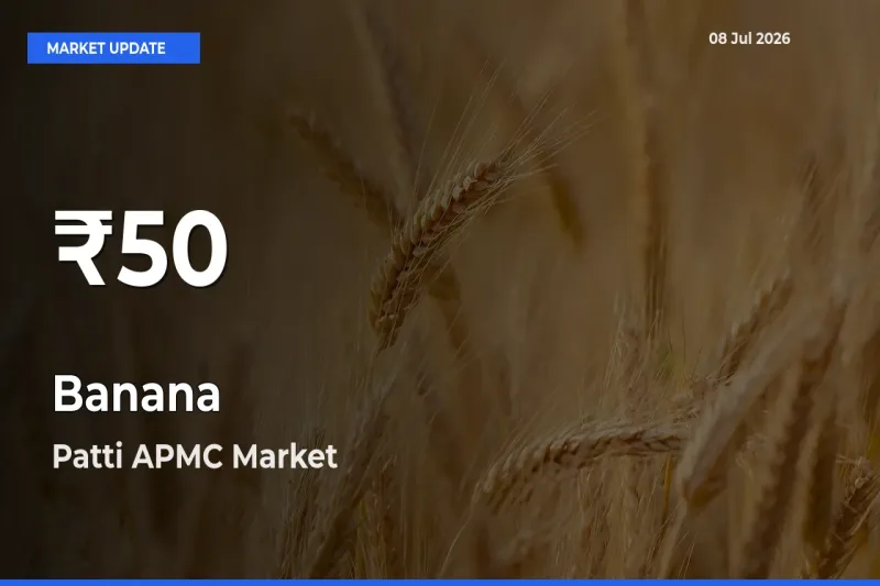 Banana Falls to ₹50 in Patti APMC – 30-Day Lowest Rate