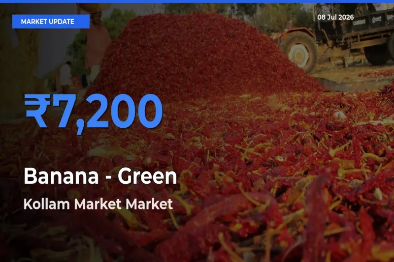 Kollam Market Emerges as Top Mandi for Banana - Green Prices Today
