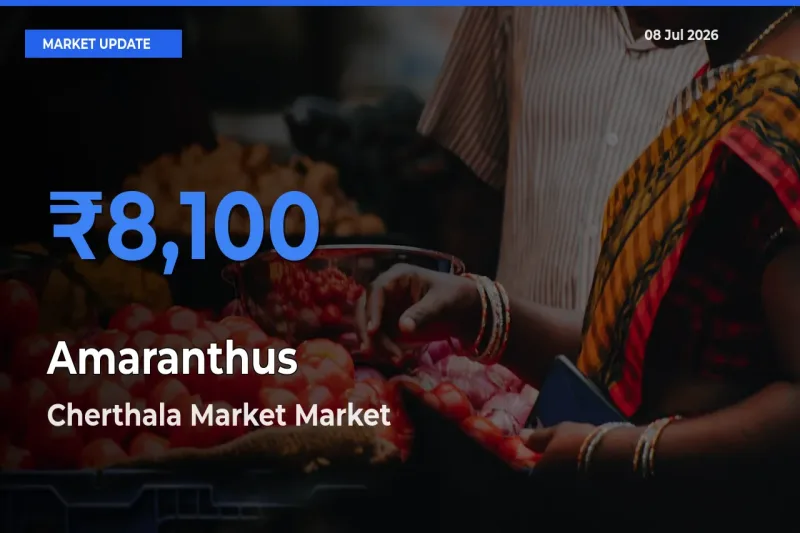Cherthala Market Tops Amaranthus Mandi Rates Today