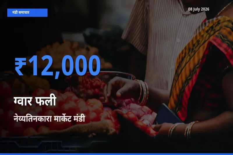 नेय्यतिनकारा मार्केट में ग्वार फली का आज सबसे ऊँचा भाव