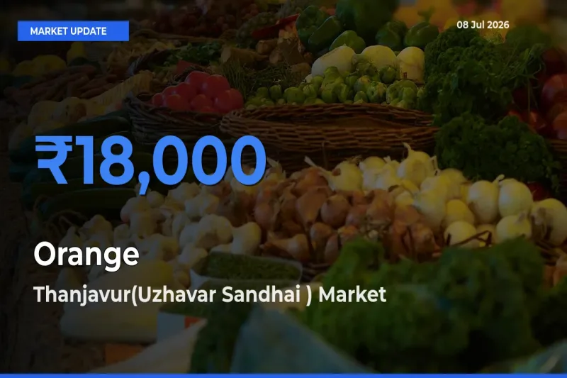 Orange Mandi Rate Today: Thanjavur(Uzhavar Sandhai ) Tops the List