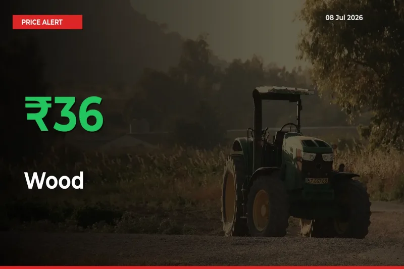 Wood Rises 36.3% at Mandis