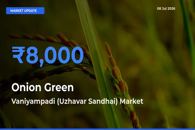 Vaniyampadi (Uzhavar Sandhai) Tops Onion Green Mandi Rates Today