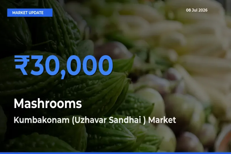 Market Watch: Kumbakonam (Uzhavar Sandhai ) Becomes Top Mandi for Mashrooms