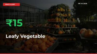 Farmers Cheer as Leafy Vegetable Prices Surge 15.12% in Local Mandis