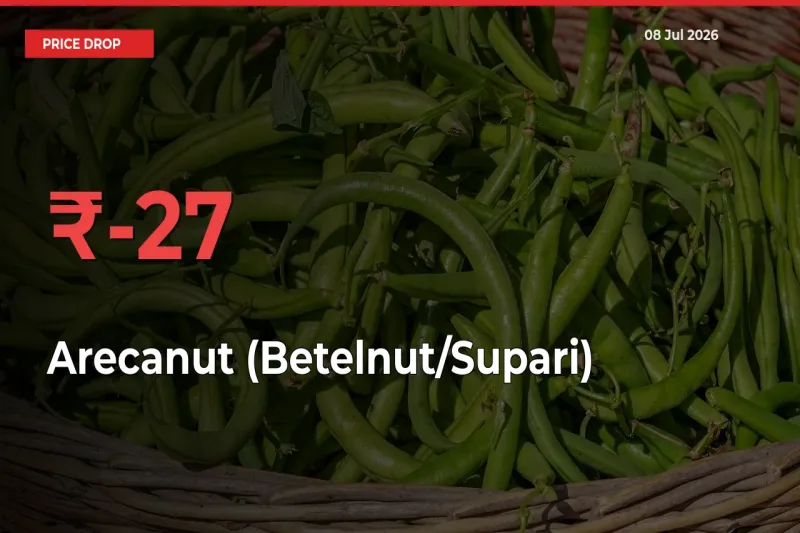 Arecanut (Betelnut/Supari) Prices Drop 26.56% – July 08 Market Update from Mandis