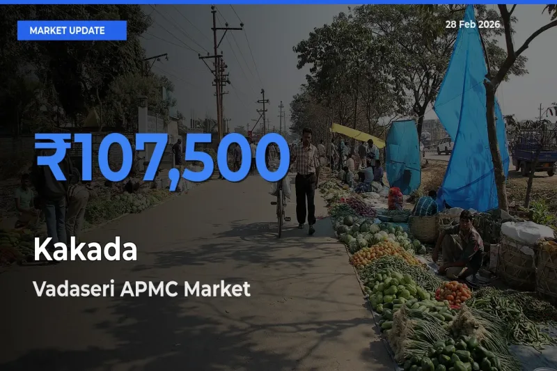 Vadaseri APMC Tops Kakada Mandi Rates Today