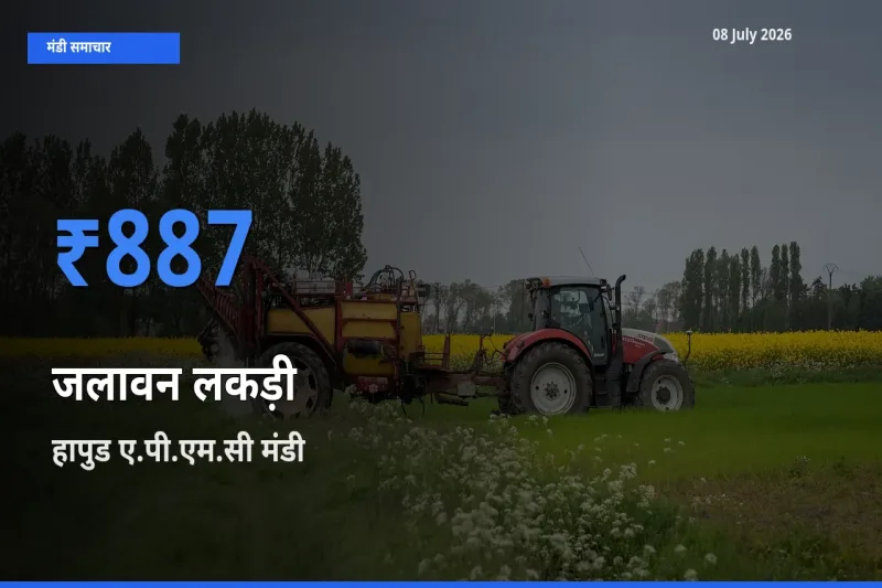 हापुड ए.पी.एम.सी में जलावन लकड़ी का आज सबसे ऊँचा भाव
