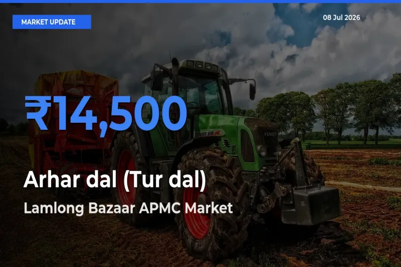 Lamlong Bazaar APMC Emerges as Top Mandi for Arhar dal (Tur dal) Prices Today