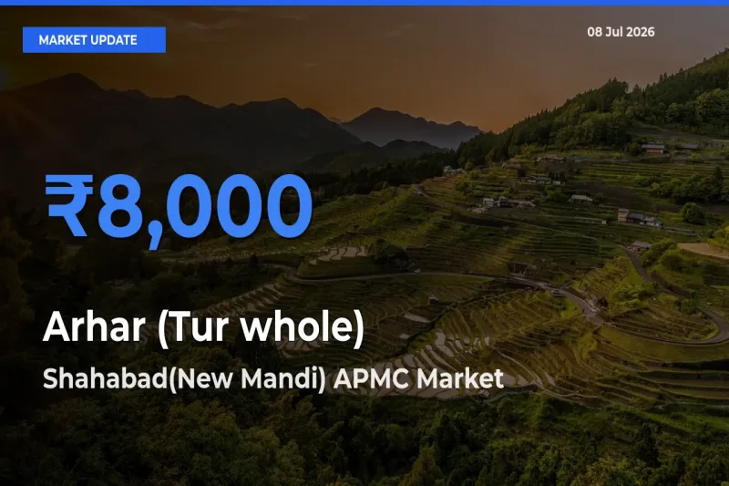 Shahabad(New Mandi) APMC Emerges as Top Mandi for Arhar (Tur whole) Prices Today