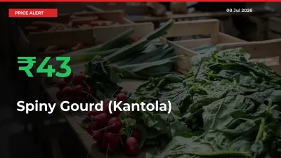 Spiny Gourd (Kantola) Prices Rise 42.94% in a Day at Major Mandis