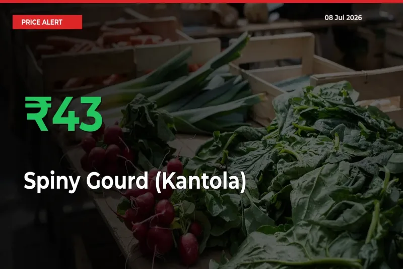 Spiny Gourd (Kantola) Prices Rise 42.94% in a Day at Major Mandis
