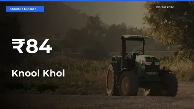Why Knool Khol Prices Are Moving Across Multiple Mandis Today
