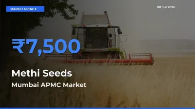 Market Watch: Mumbai APMC Becomes Top Mandi for Methi Seeds