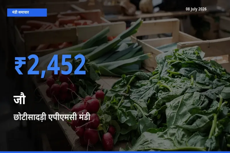 आज जौ के सबसे ज़्यादा दाम छोटीसादड़ी एपीएमसी मंडी में दर्ज