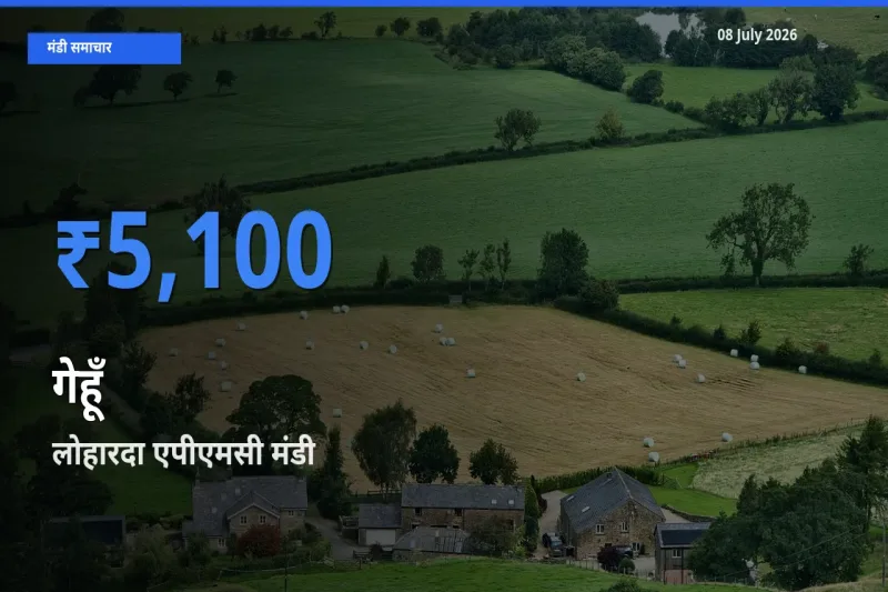 टॉप मंडी बना लोहारदा एपीएमसी! गेहूँ के सबसे ऊँचे दाम यहीं दर्ज