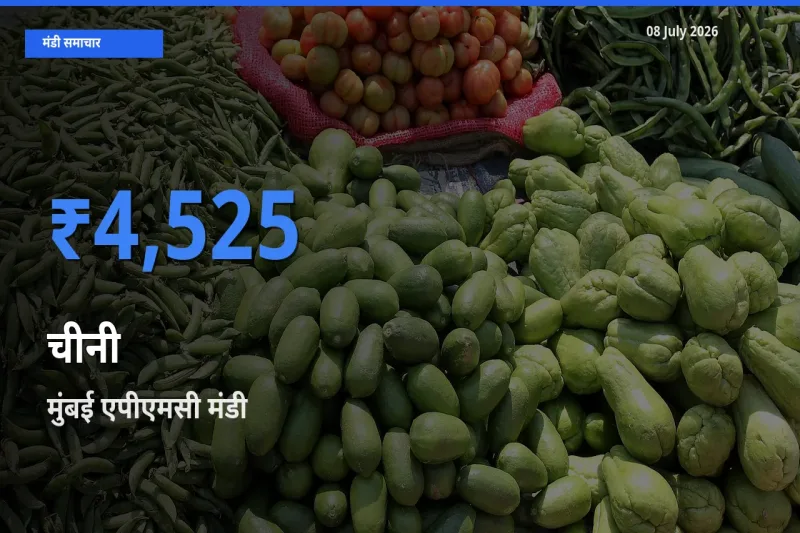 मुंबई एपीएमसी में चीनी का आज सबसे ऊँचा भाव
