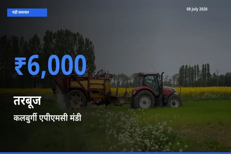 कलबुर्गी एपीएमसी मंडी में तरबूज ₹6,000 पर पहुँचा – आज का सर्वोच्च भाव