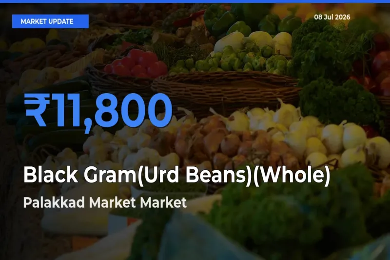 Palakkad Market Emerges as Top Mandi for Black Gram(Urd Beans)(Whole) Prices Today