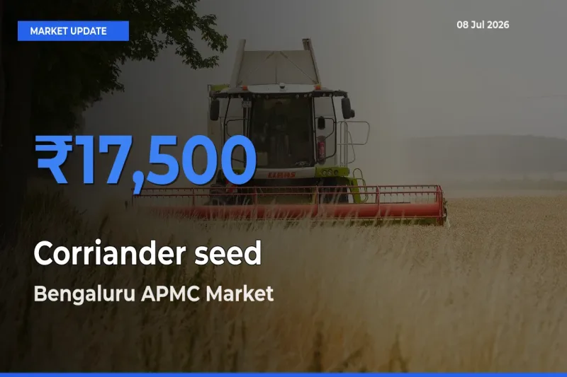 Bengaluru APMC Offers ₹17,500 – Highest Corriander seed Rate Today