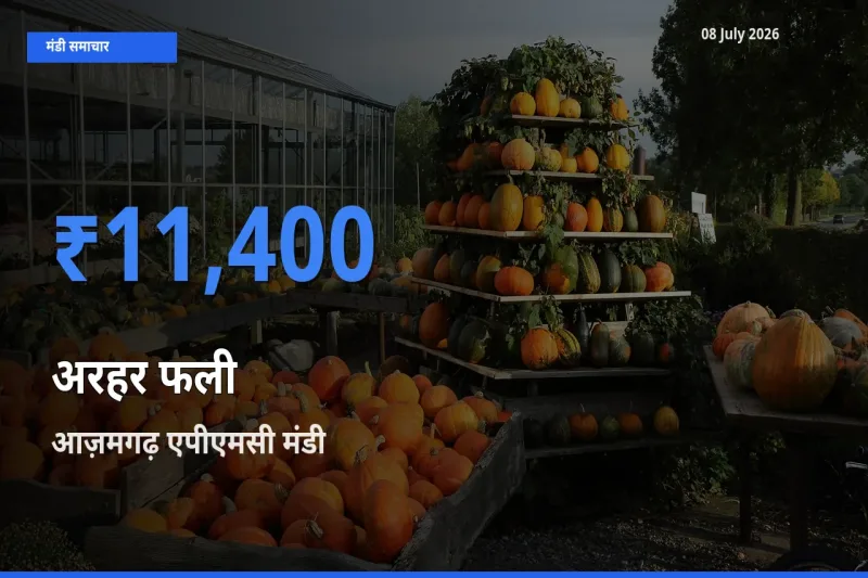 टॉप मंडी बना आज़मगढ़ एपीएमसी! अरहर फली के सबसे ऊँचे दाम यहीं दर्ज