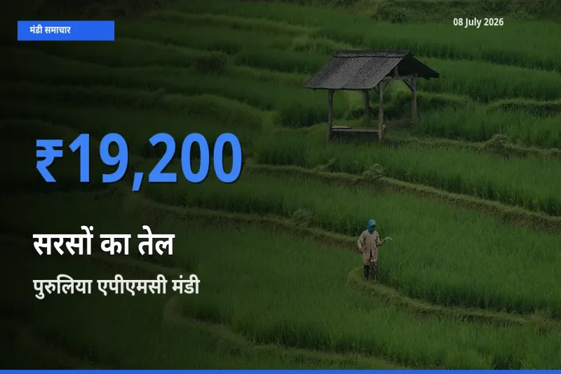 पुरुलिया एपीएमसी में सरसों का तेल का आज सबसे ऊँचा भाव