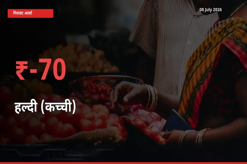 स्थानीय मंडी में हल्दी (कच्ची) के दाम अचानक 69.56% गिरे, किसानों की चिंता बढ़ी