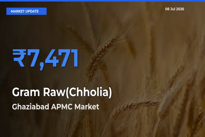 Gram Raw(Chholia) Mandi Rate Today: Ghaziabad APMC Tops the List