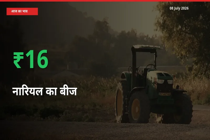 बाज़ार संकेत: नारियल का बीज के भाव मंडी में 16.29% ऊपर