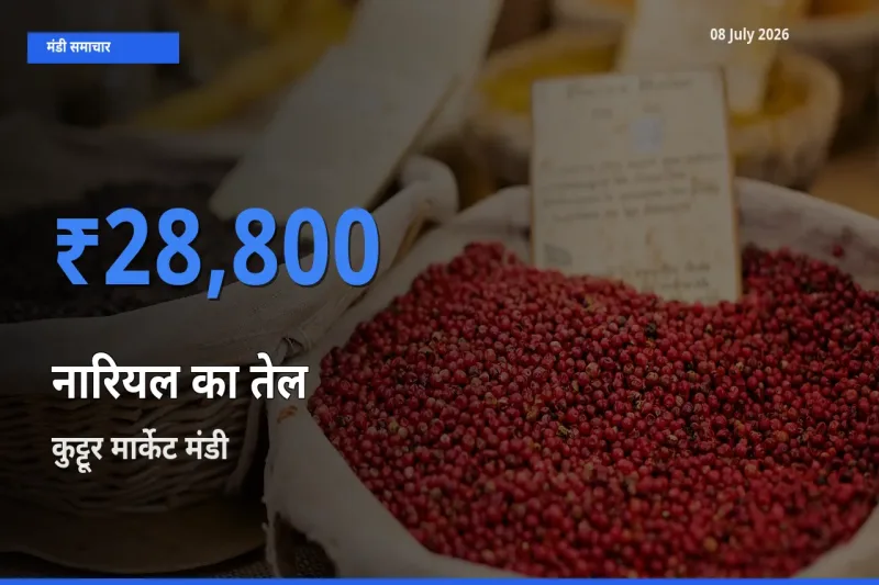 किसानों की पसंद बना कुट्टूर मार्केट, नारियल का तेल के सबसे अच्छे दाम