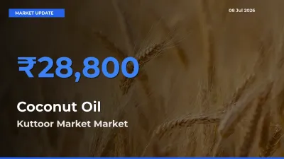 Kuttoor Market Leads as Top Mandi for Coconut Oil Prices