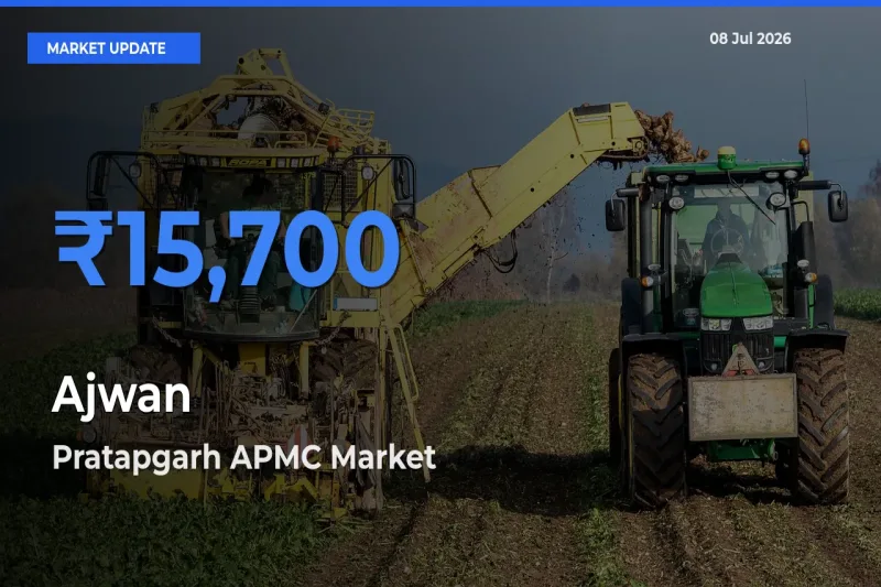 Pratapgarh APMC Tops Ajwan Mandi Rates Today