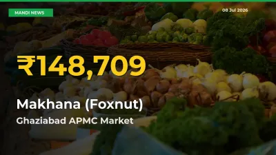 Makhana (Foxnut) Price Rally Continues – Ghaziabad APMC Hits Fresh High Today