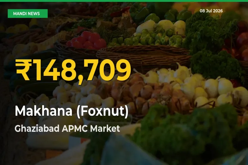 Makhana (Foxnut) Price Rally Continues – Ghaziabad APMC Hits Fresh High Today