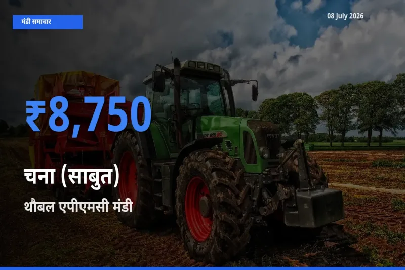 आज चना (साबुत) के सबसे ज़्यादा दाम थौबल एपीएमसी मंडी में दर्ज