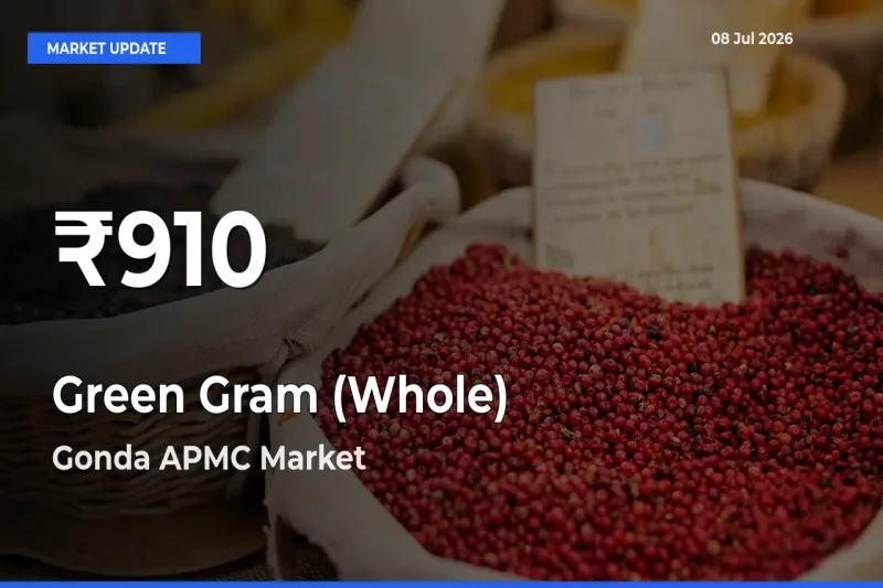 Farmers Concerned as Green Gram (Whole) Hits 30-Day Low in Gonda APMC