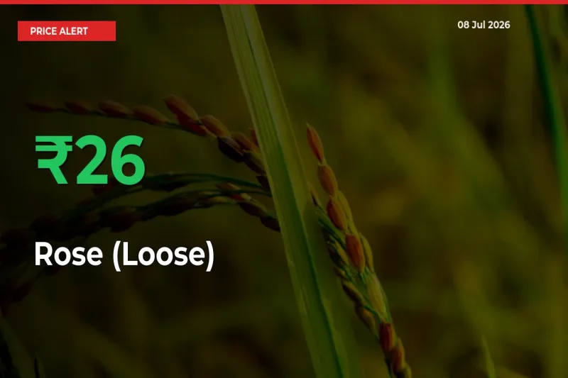 Rose (Loose) Rises 25.58% at Mandis